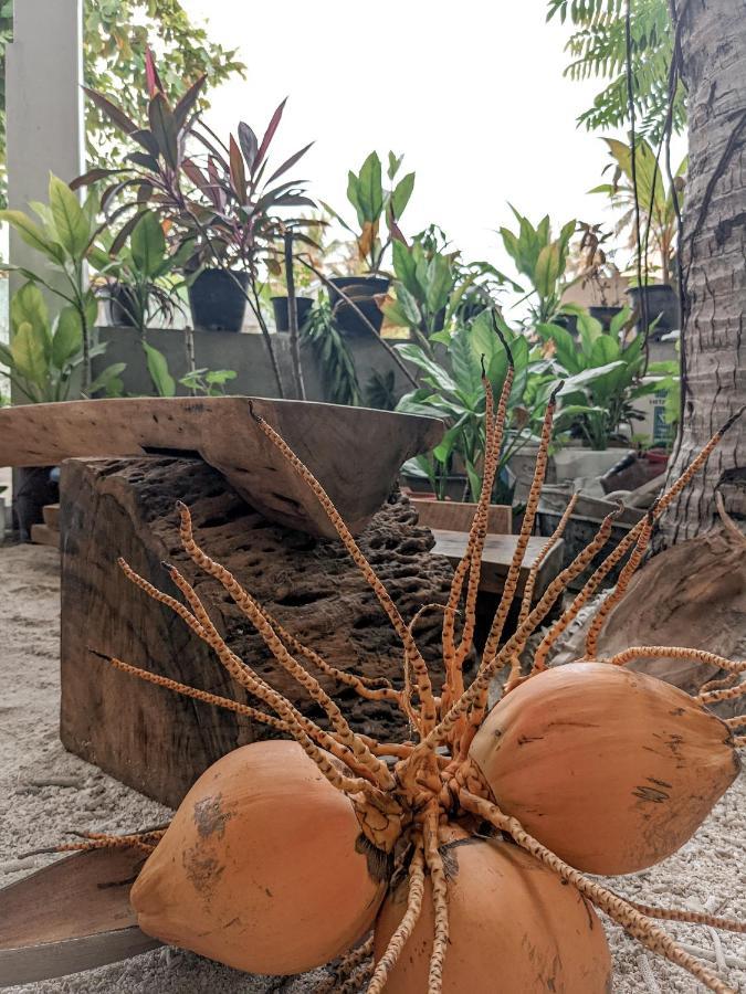 Dhoadhi Retreat Hotel Thulusdhoo Eksteriør billede