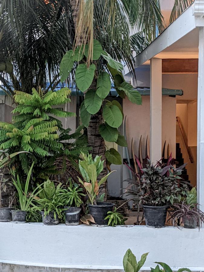 Dhoadhi Retreat Hotel Thulusdhoo Eksteriør billede