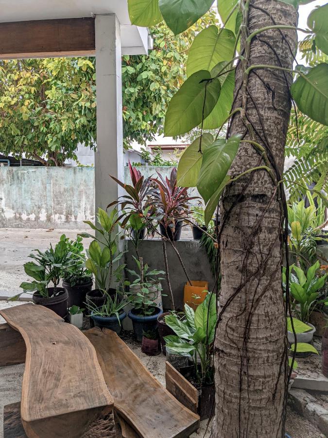 Dhoadhi Retreat Hotel Thulusdhoo Eksteriør billede