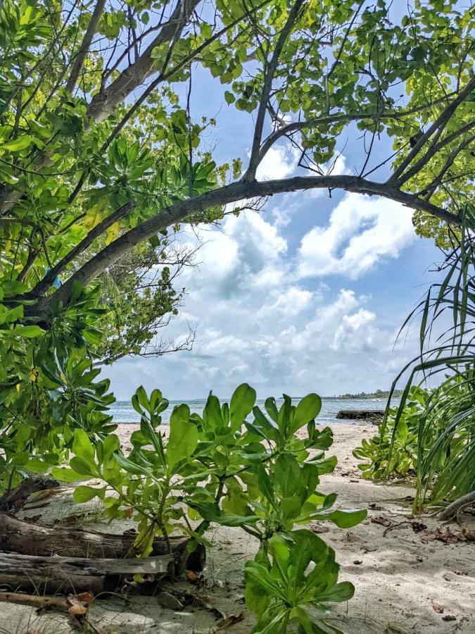 Dhoadhi Retreat Hotel Thulusdhoo Eksteriør billede