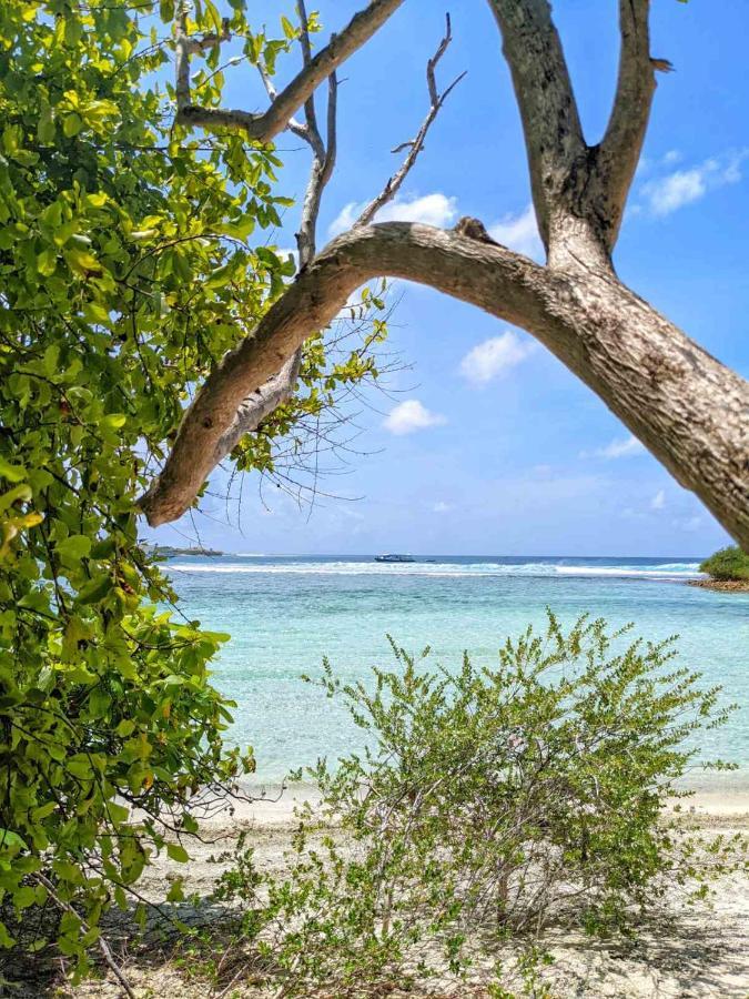 Dhoadhi Retreat Hotel Thulusdhoo Eksteriør billede