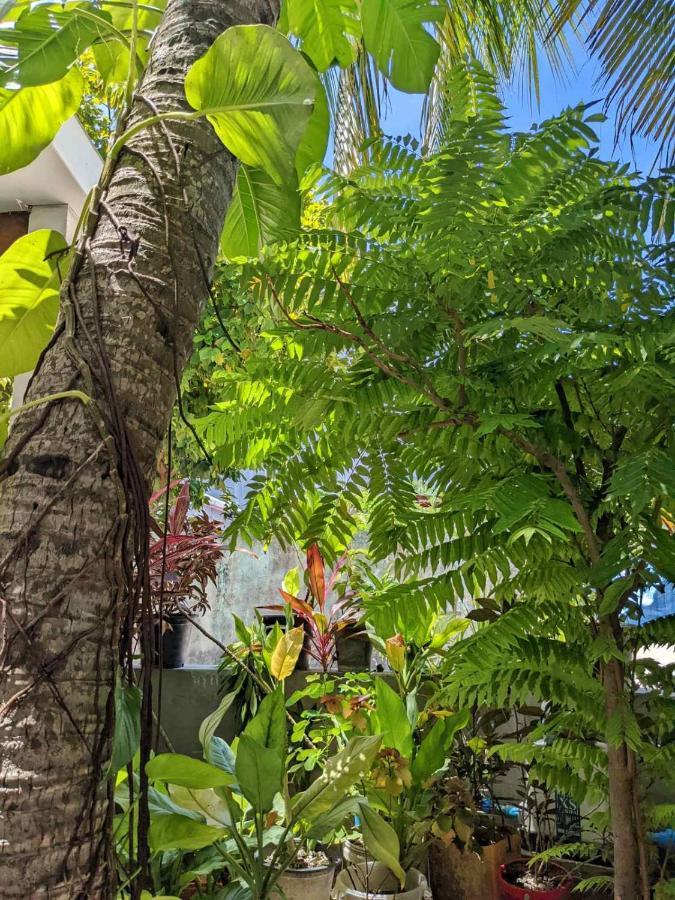 Dhoadhi Retreat Hotel Thulusdhoo Eksteriør billede