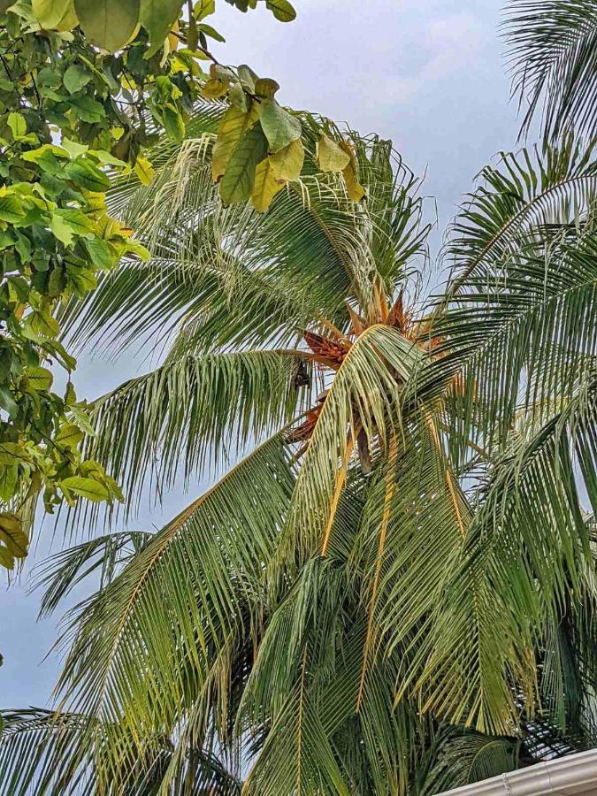 Dhoadhi Retreat Hotel Thulusdhoo Eksteriør billede